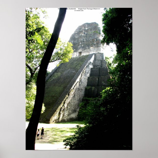 Temple V, Tikal, Guatemala Poster (Framsidan)