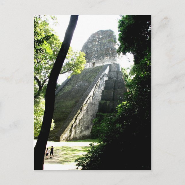 Temple V, Tikal, Guatemala Vykort (Framsida)