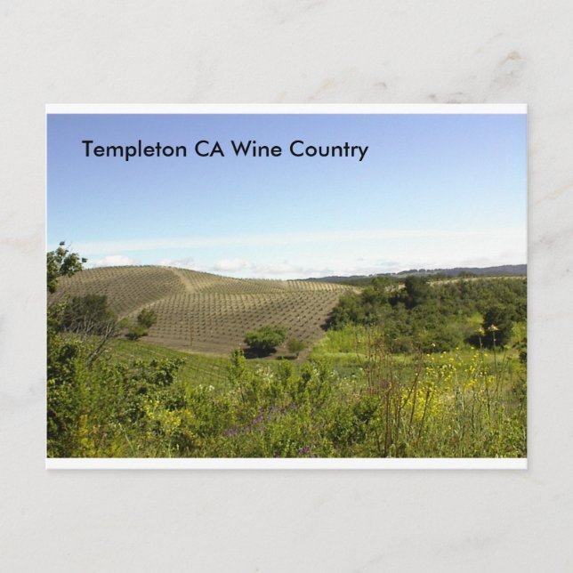 Templeton CA Vin Land Vykort (Framsida)