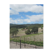 Templeton Vin Land i slutet av maj