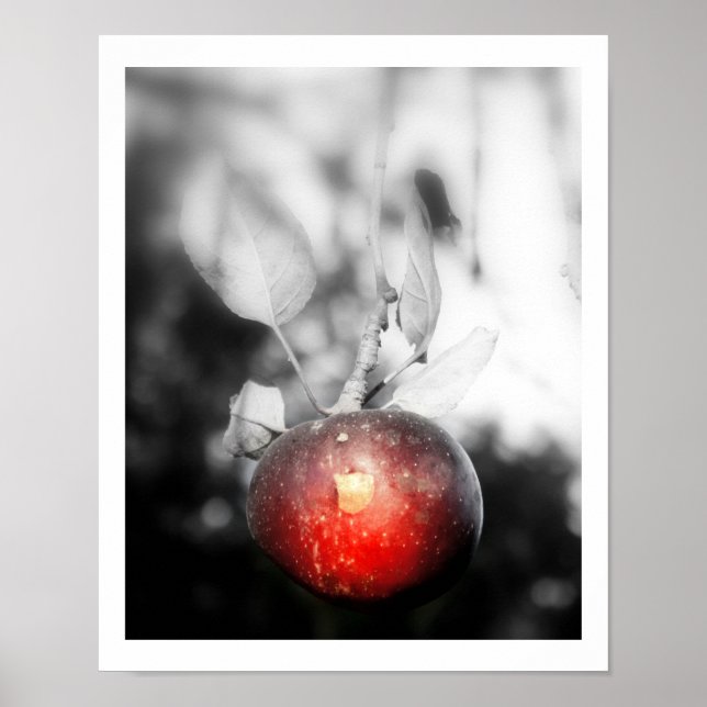 "Temptation", apple Photography-utskrift Poster (Framsidan)