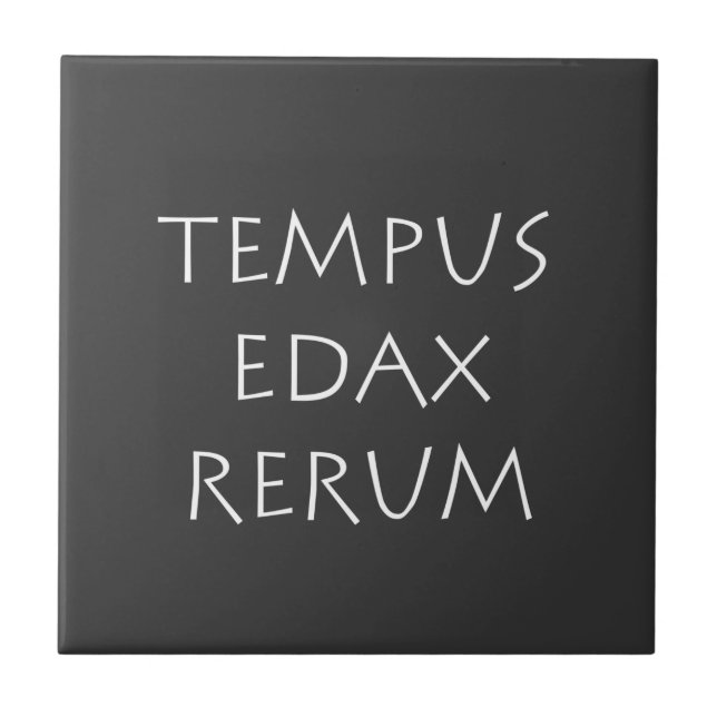 Tempus edax rerum kakelplatta (Framsidan)