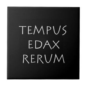Tempus edax rerum kakelplatta