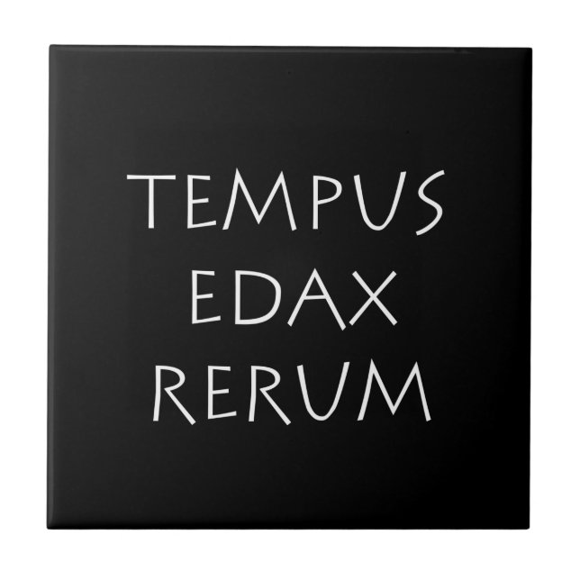 Tempus edax rerum kakelplatta (Framsidan)