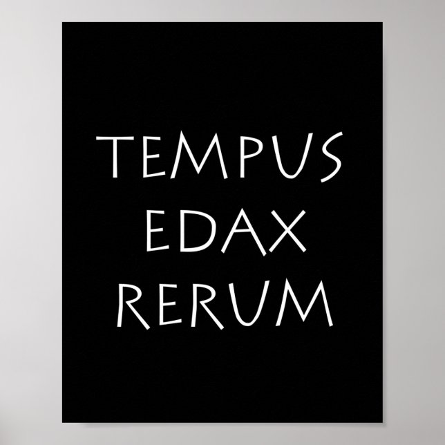 Tempus edax rerum poster (Framsidan)