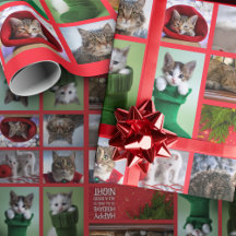 Ten Cats Collage