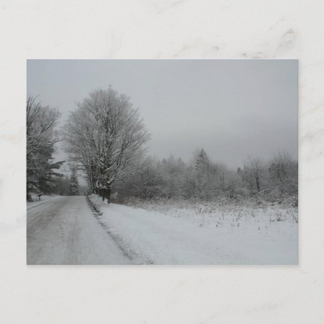 Tenard Mountian Road, Vermont Vykort (Framsida)
