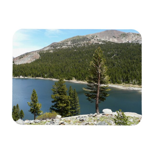 Tenaya Lake Magnet (Horisontell)