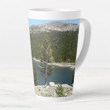 Tenayasjön i Yosemite National Park