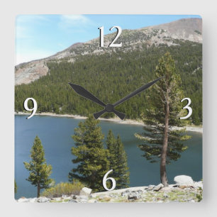 Tenayasjön i Yosemite National Park Fyrkantig Klocka