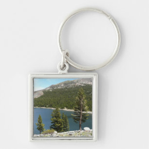 Tenayasjön i Yosemite National Park Fyrkantig Silverfärgad Nyckelring