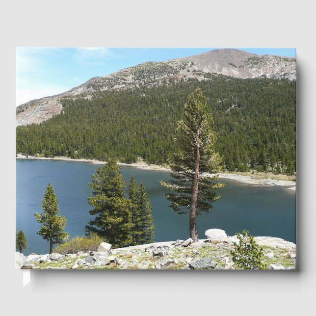 Tenayasjön i Yosemite National Park Gästböcker (Framsida)