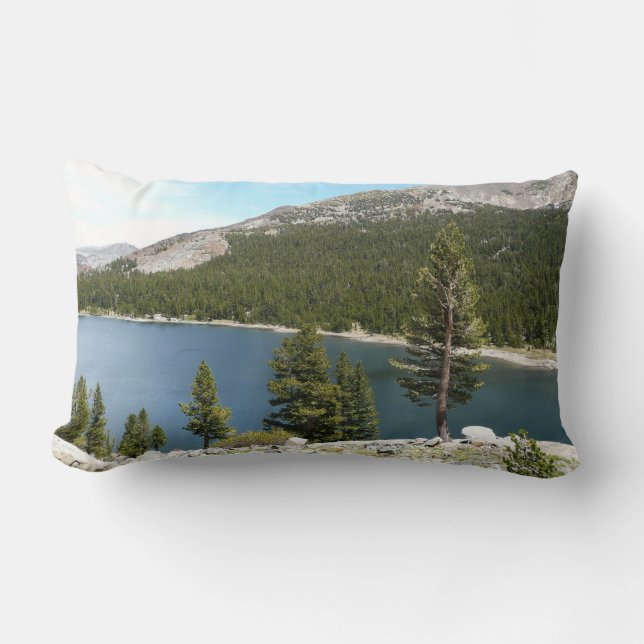 Tenayasjön i Yosemite National Park Lumbarkudde (Framsida)
