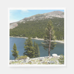 Tenayasjön i Yosemite National Park Pappersservett