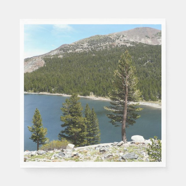 Tenayasjön i Yosemite National Park Pappersservett (Framsidan)