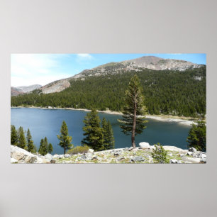 Tenayasjön i Yosemite National Park Poster