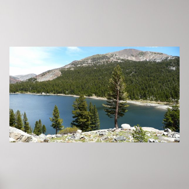 Tenayasjön i Yosemite National Park Poster (Framsidan)