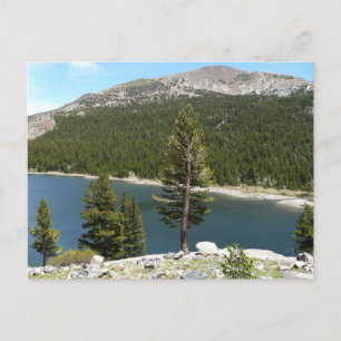 Tenayasjön i Yosemite National Park Vykort
