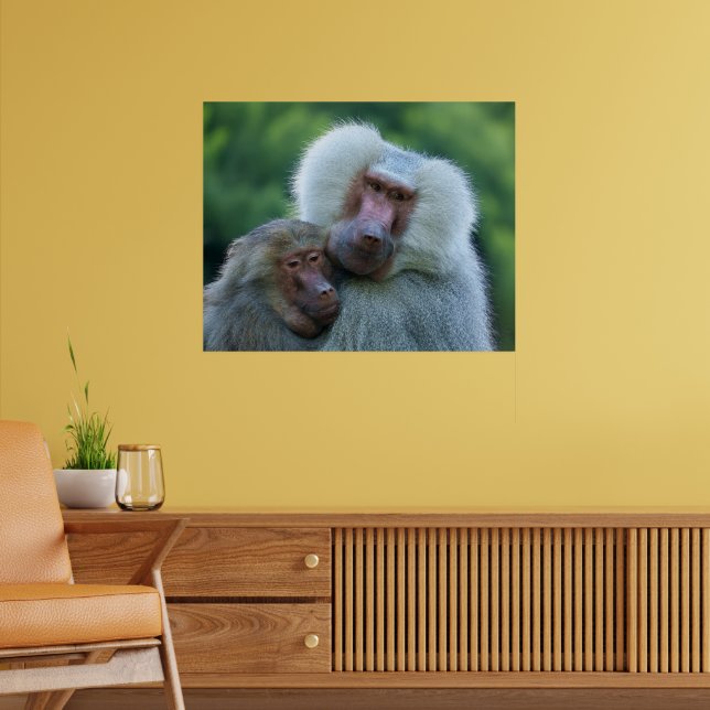 Tender Baboon Bond Poster (Vardagsrum 2)
