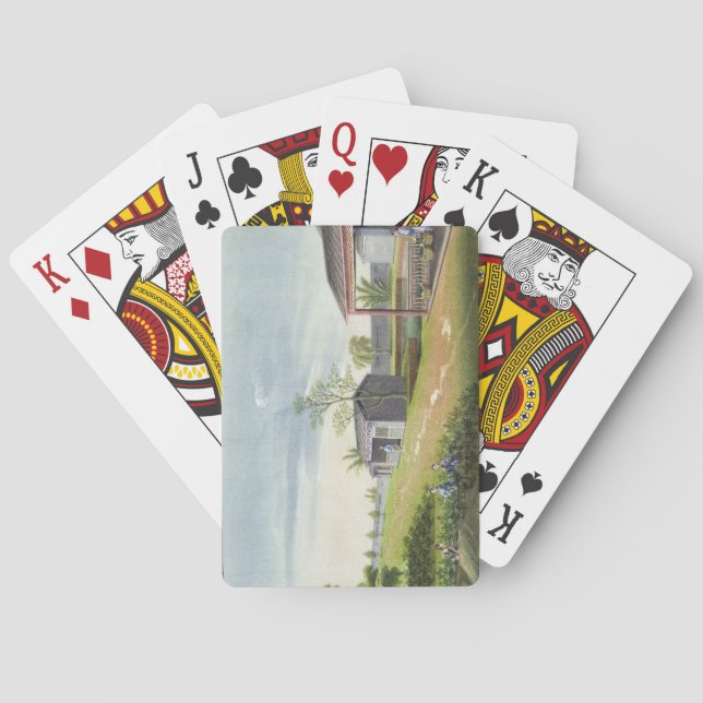 Tenderande teväxter (vikt/vikt på pappra) spel kort (Baksidan)