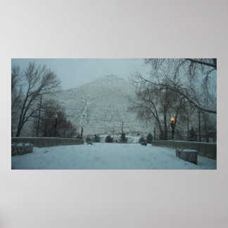 Tenderfoot Backe Poster