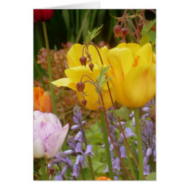 Tenderhetens blommor hälsningskort