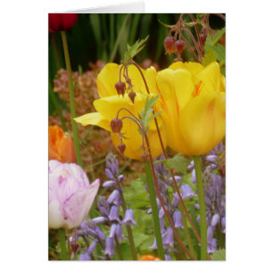 Tenderhetens blommor hälsningskort