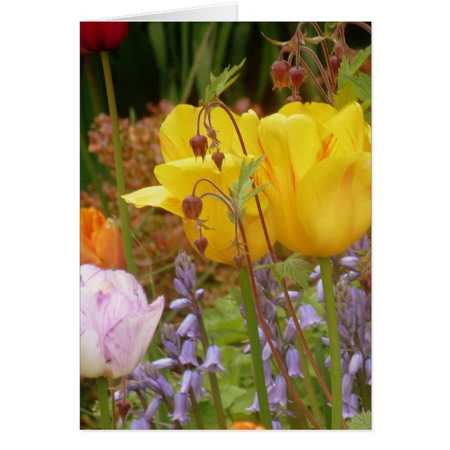 Tenderhetens blommor hälsningskort (Framsidan)