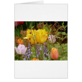 Tenderhetens blommor hälsningskort