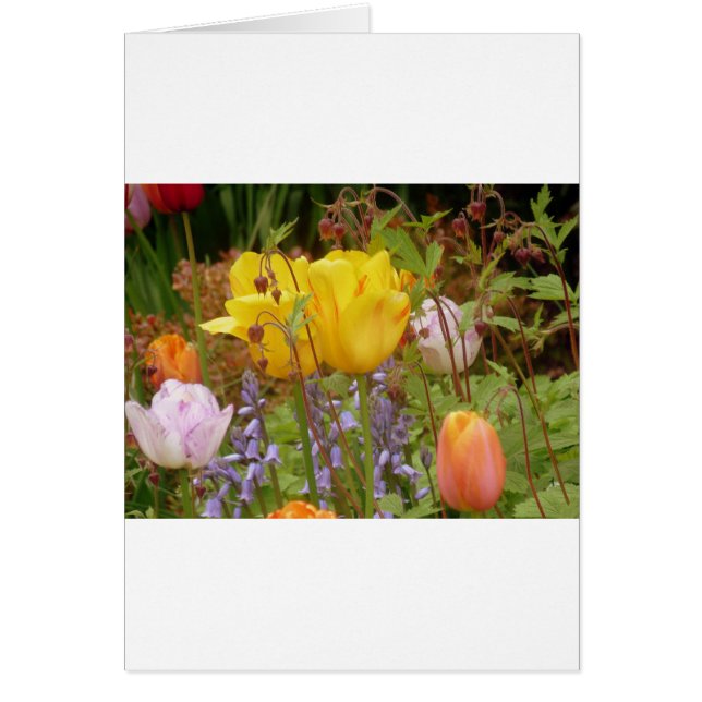 Tenderhetens blommor hälsningskort (Framsidan)