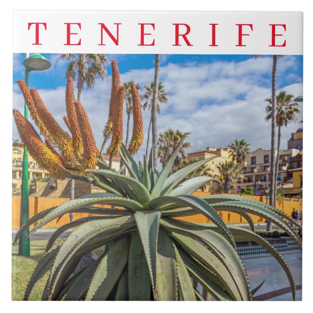Tenerife Aloe Vera, keramiskt plattor Kakelplatta (Framsidan)