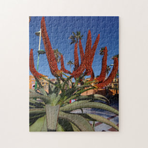 Tenerife Aloe Vera-växtpussel Pussel