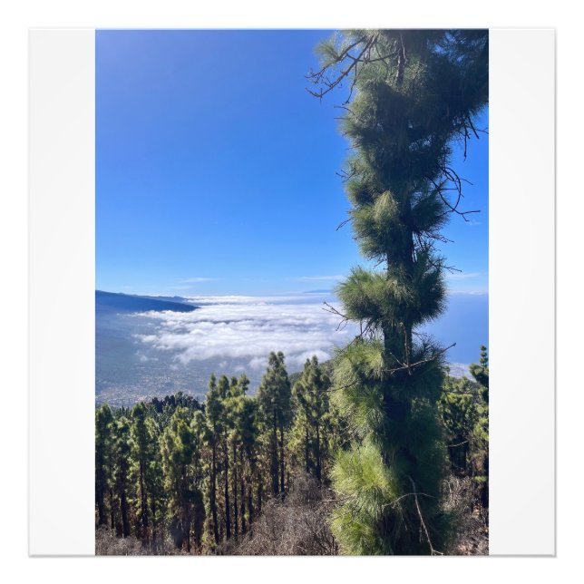 Tenerife bliss.. fototryck (Framsidan)