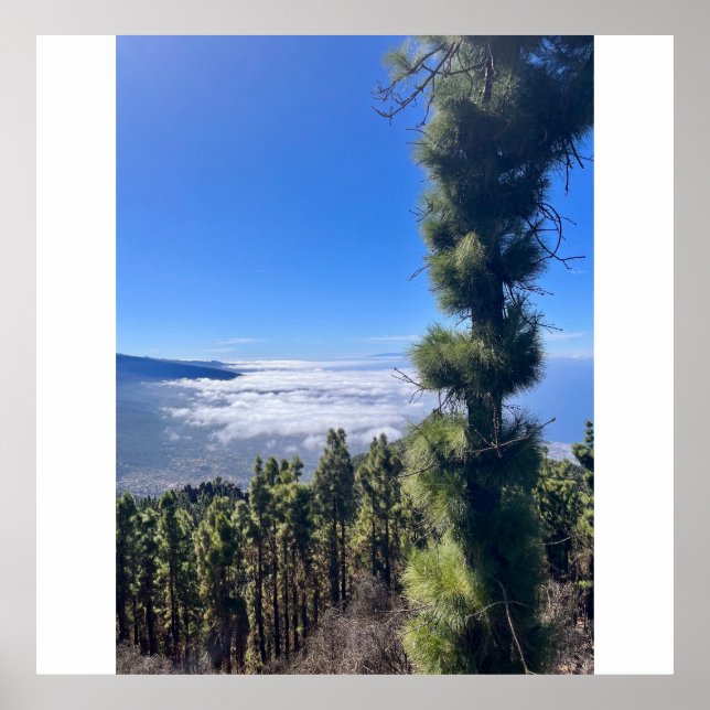 Tenerife bliss.. poster (Framsidan)