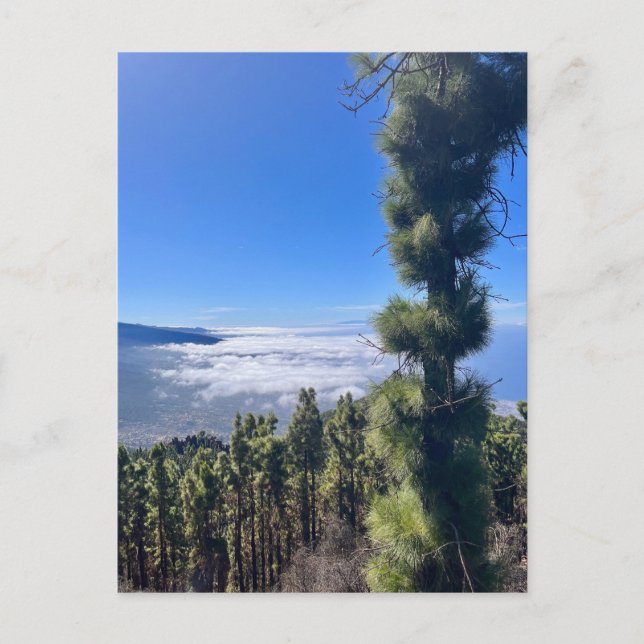 Tenerife bliss.. vykort (Framsida)