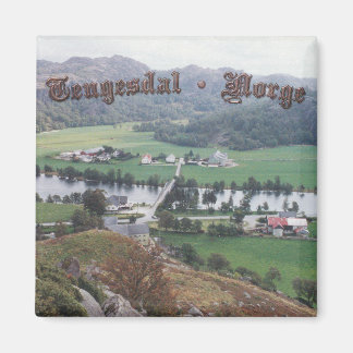 Tengesdals dalen magnet