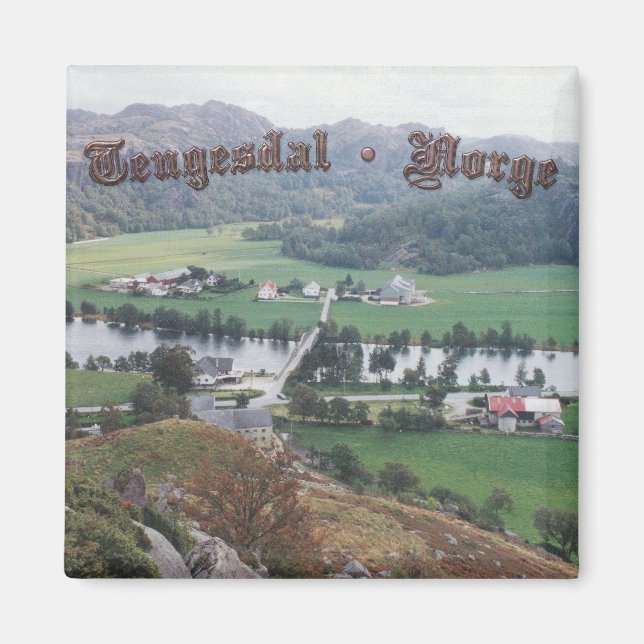 Tengesdals dalen magnet (Framsidan)