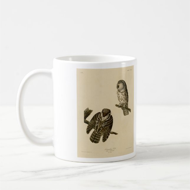 Tengmalm's (Boreal) Uggla Audubon's Birds of Ameri Kaffemugg (Vänster)