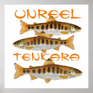 Tenkara konstaffisch poster