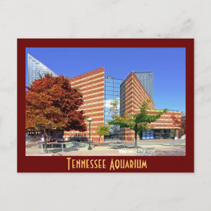 Tennessee Aquarium-Chattanooga, TN. Vykort