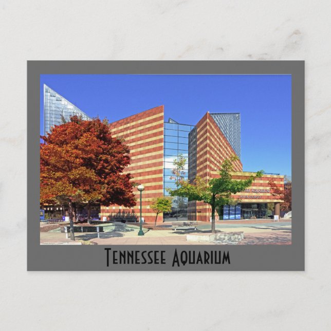 Tennessee Aquarium-Chattanooga, TN. Vykort (Framsida)