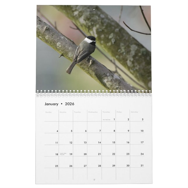 Tennessee djurliv 2010 kalender (Jan 2026)