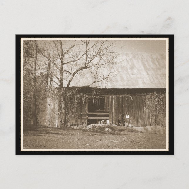 Tennessee Farm Old Barn Vykort (Framsida)