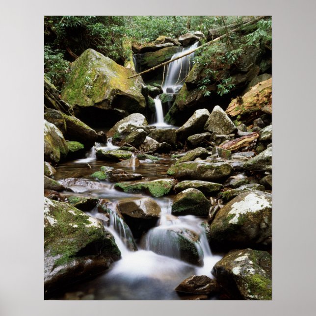 Tennessee, Great Smoky Mountains National Park 2 Poster (Framsidan)