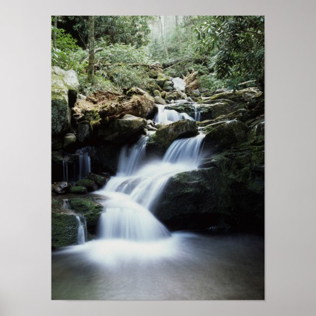 Tennessee, Great Smoky Mountains National Park 3 Poster (Framsidan)