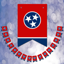Tennessee Party, buntbaner/Bröllop Vimplar
