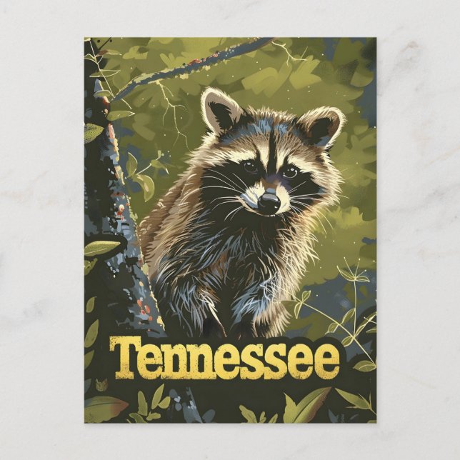 Tennessee Raccoon Vykort (Framsida)