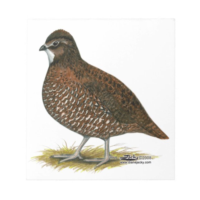 Tennessee Red Quail Anteckningsblock (Framsida)