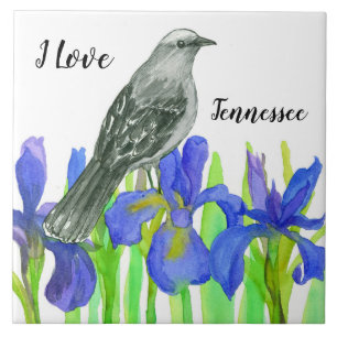 Tennessee Souvenir Gult Bird Blue Iris Kakelplatta