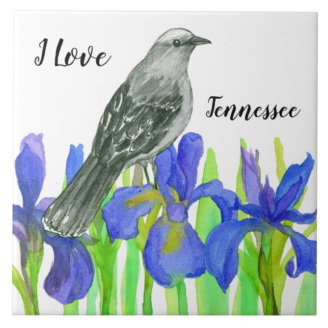 Tennessee Souvenir Gult Bird Blue Iris Kakelplatta (Framsidan)